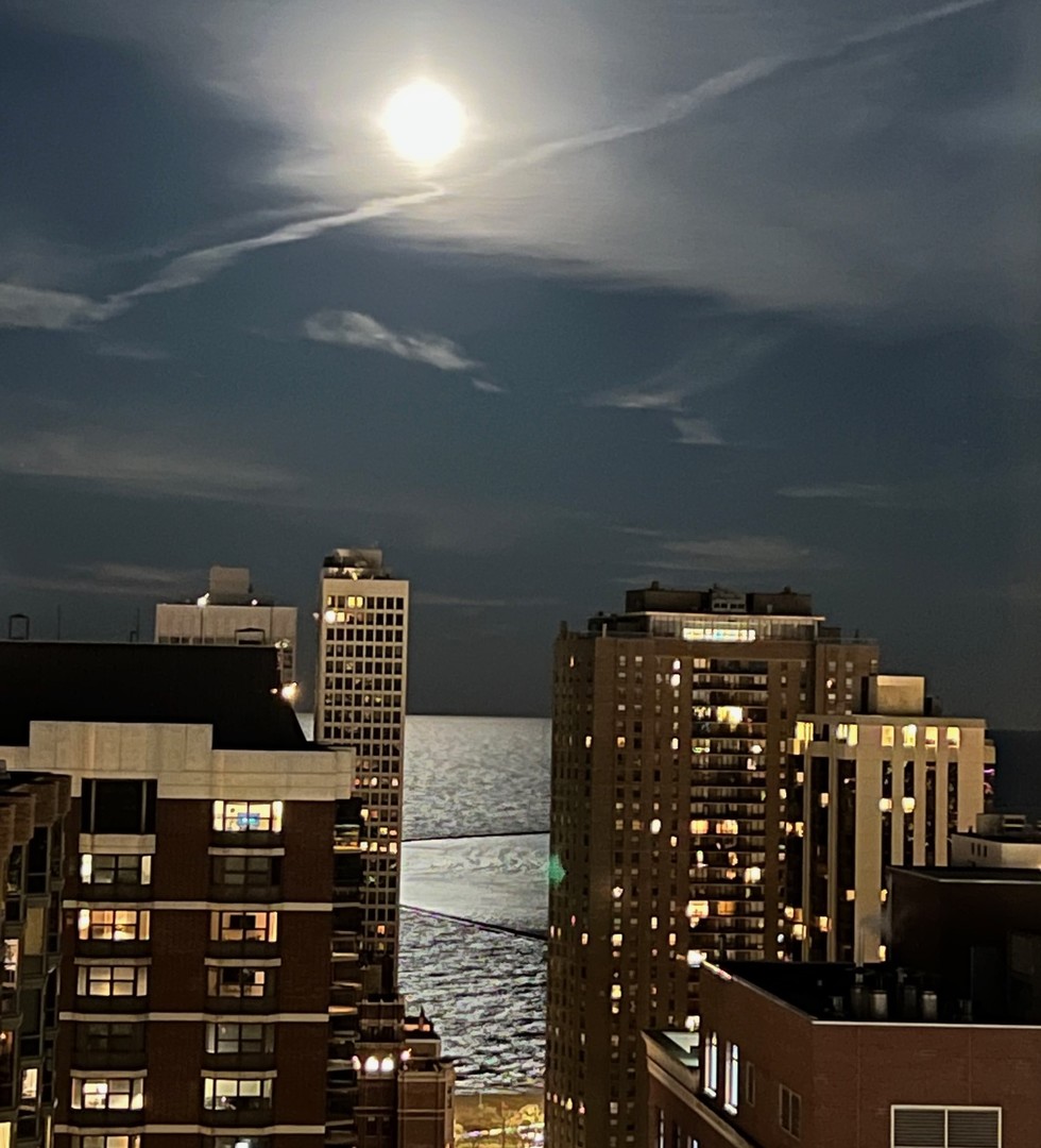 1122 N Clark Street Unit: 3606