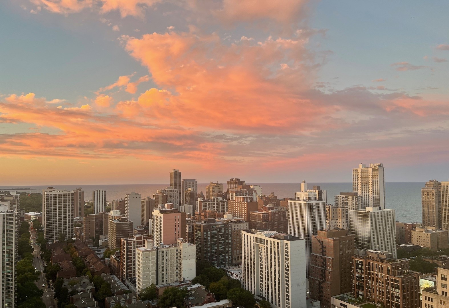 1122 N Clark Street Unit: 3606