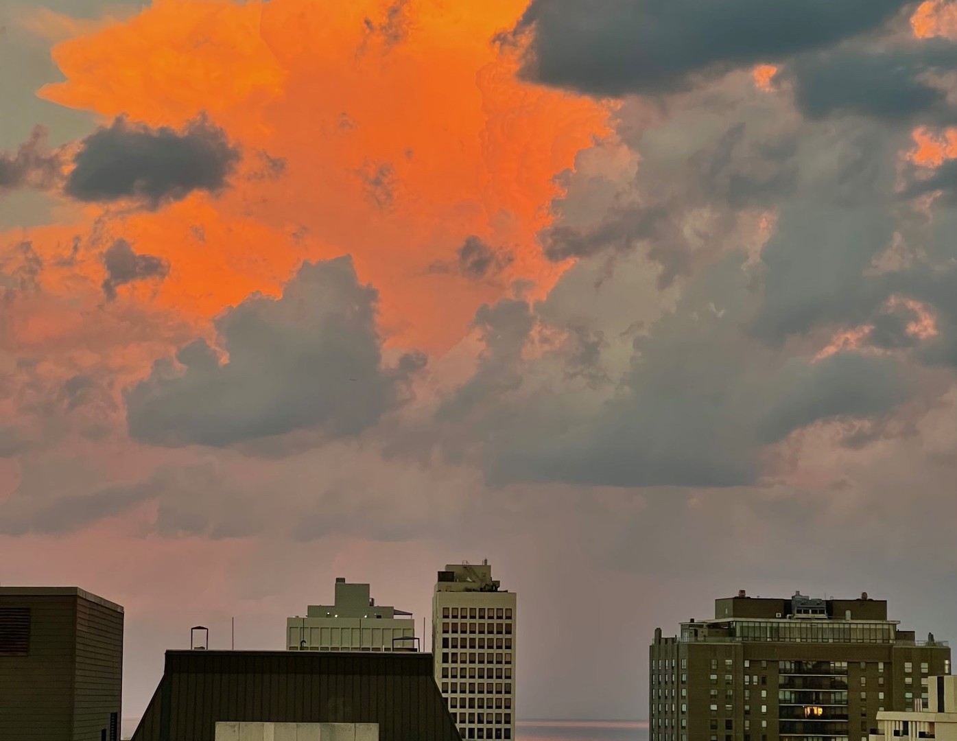 1122 N Clark Street Unit: 3606