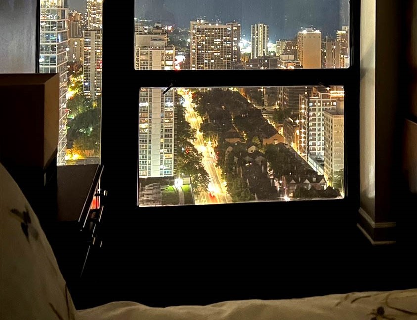 1122 N Clark Street Unit: 3606