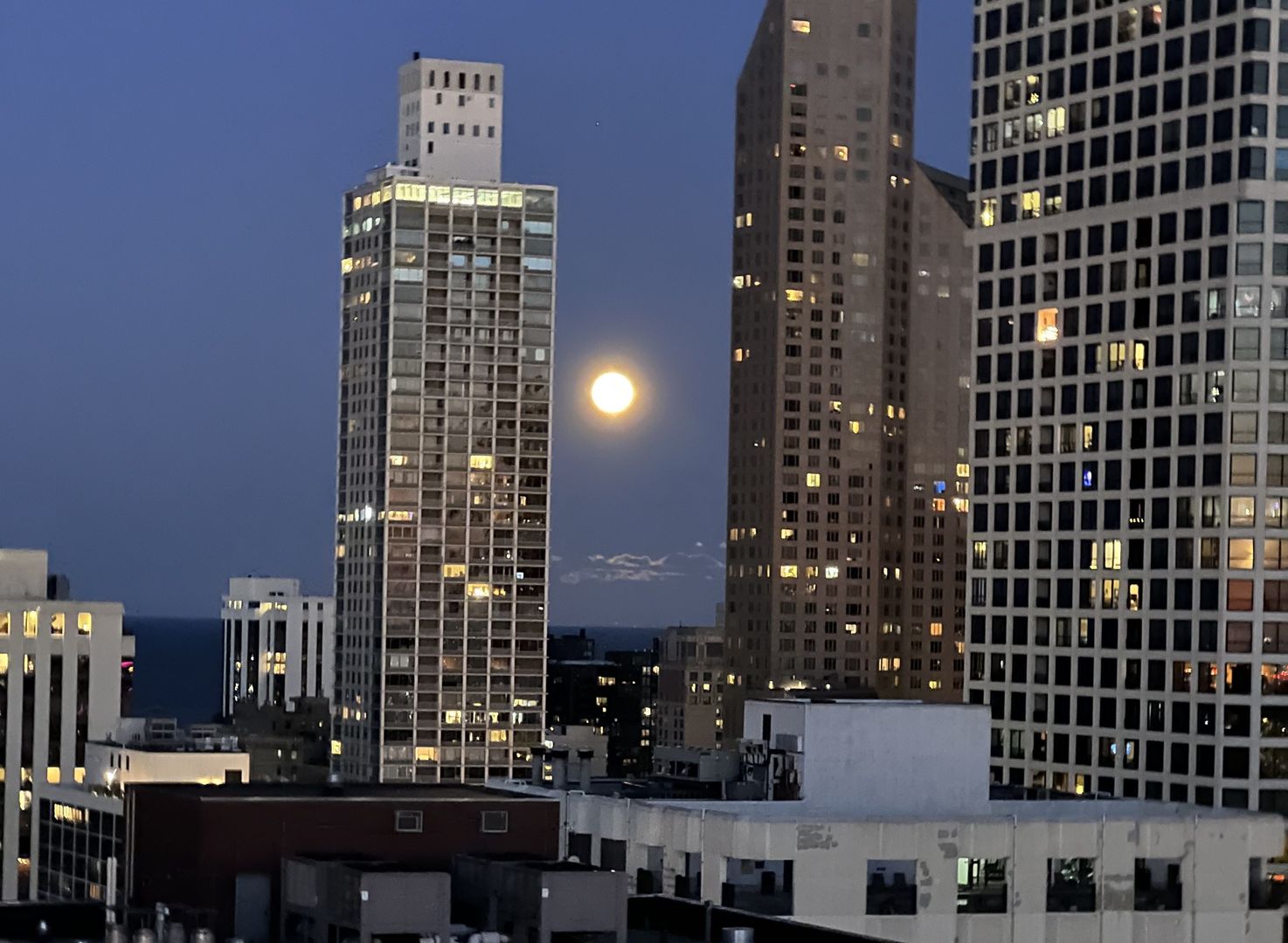 1122 N Clark Street Unit: 3606