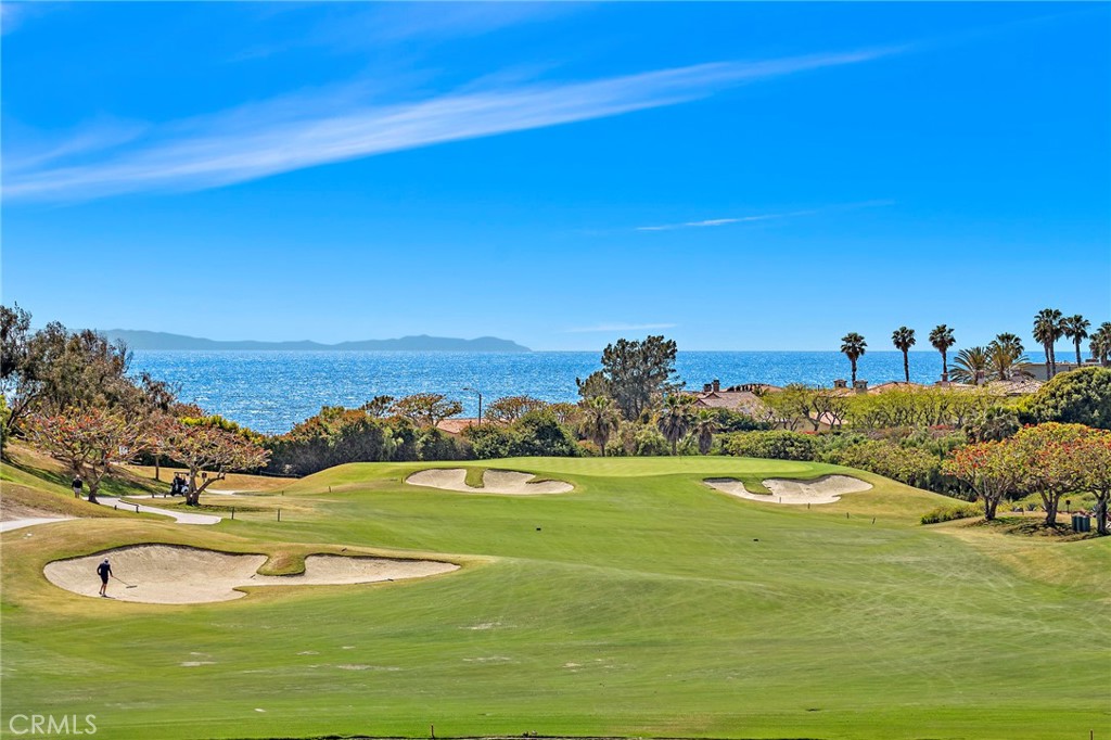 33672 Blue Lantern Street 6