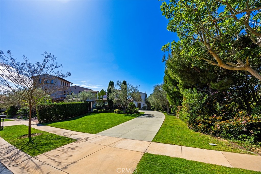 52 Twilight Bluff