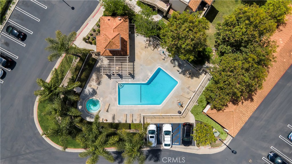 26342 Forest Ridge