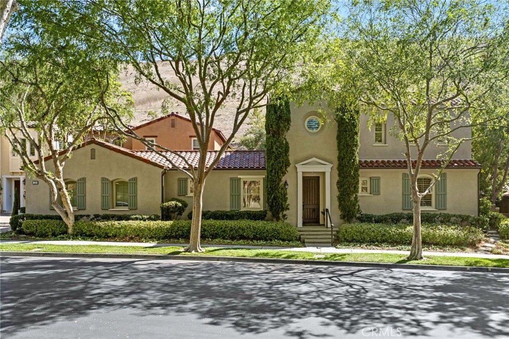 58 Shade Tree