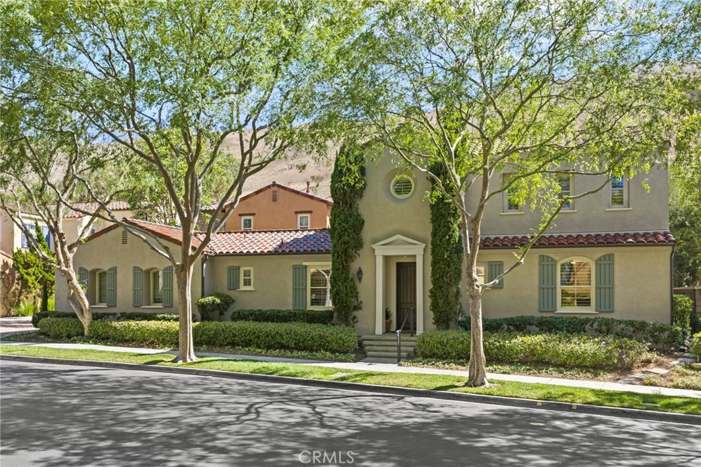 58 Shade Tree