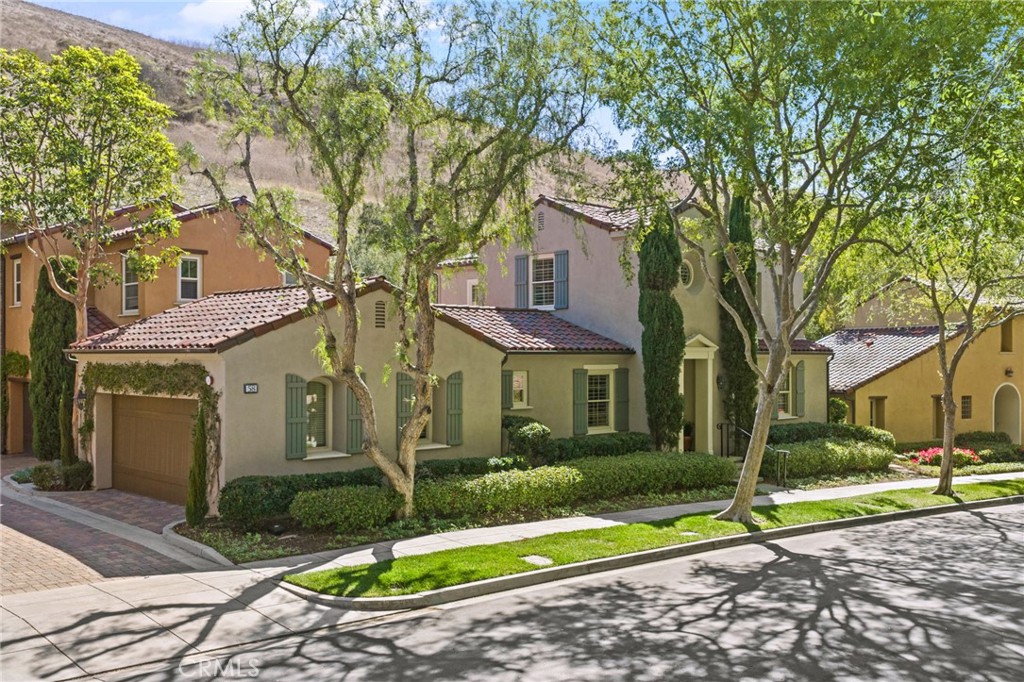 58 Shade Tree