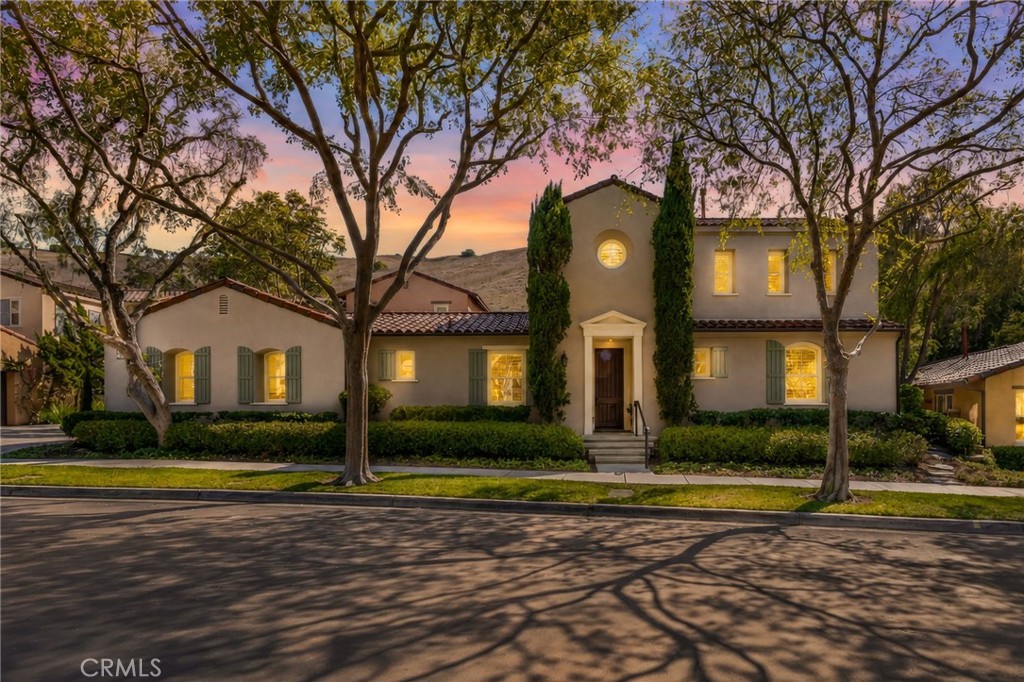 58 Shade Tree