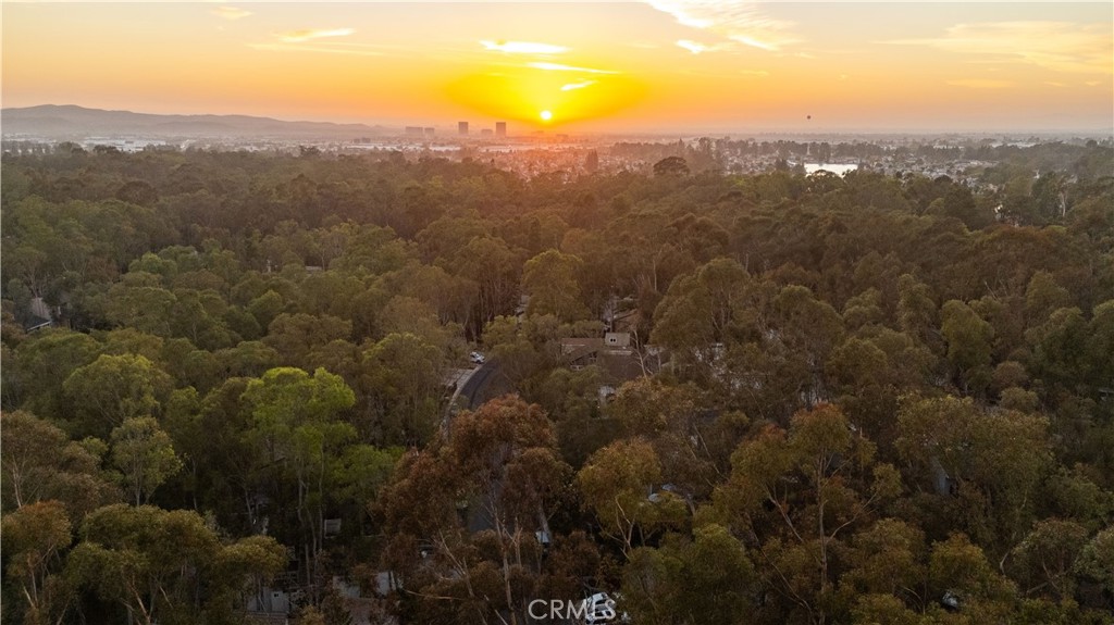 24946 Ravenswood