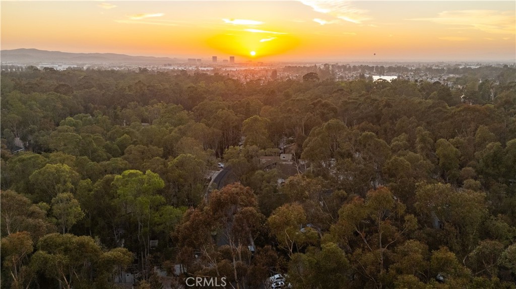 24946 Ravenswood
