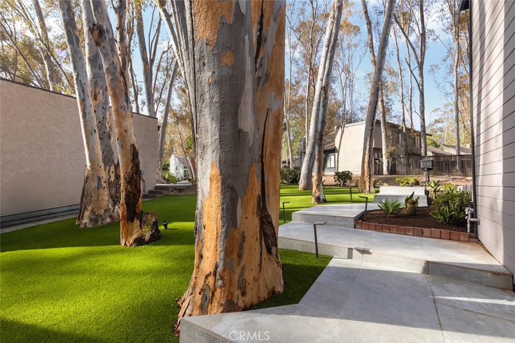 24946 Ravenswood