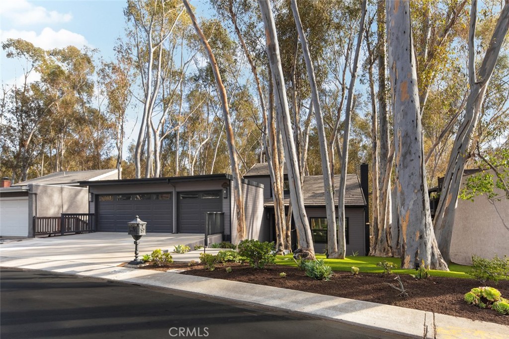 24946 Ravenswood
