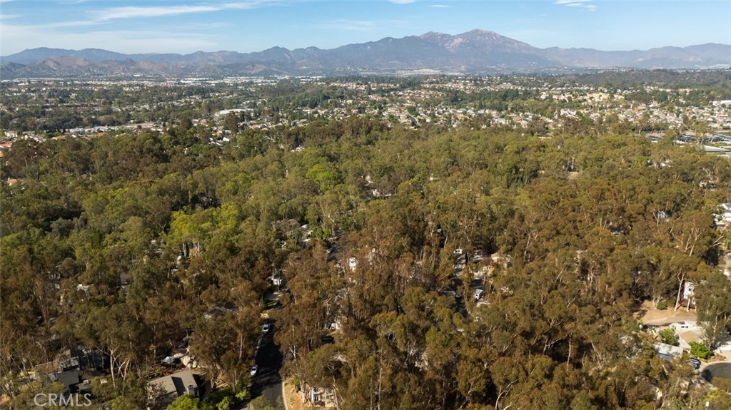 24946 Ravenswood