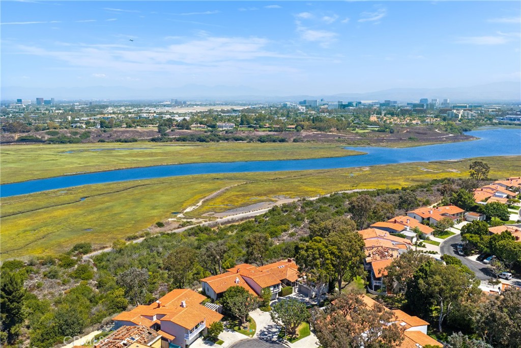 205 Nata
