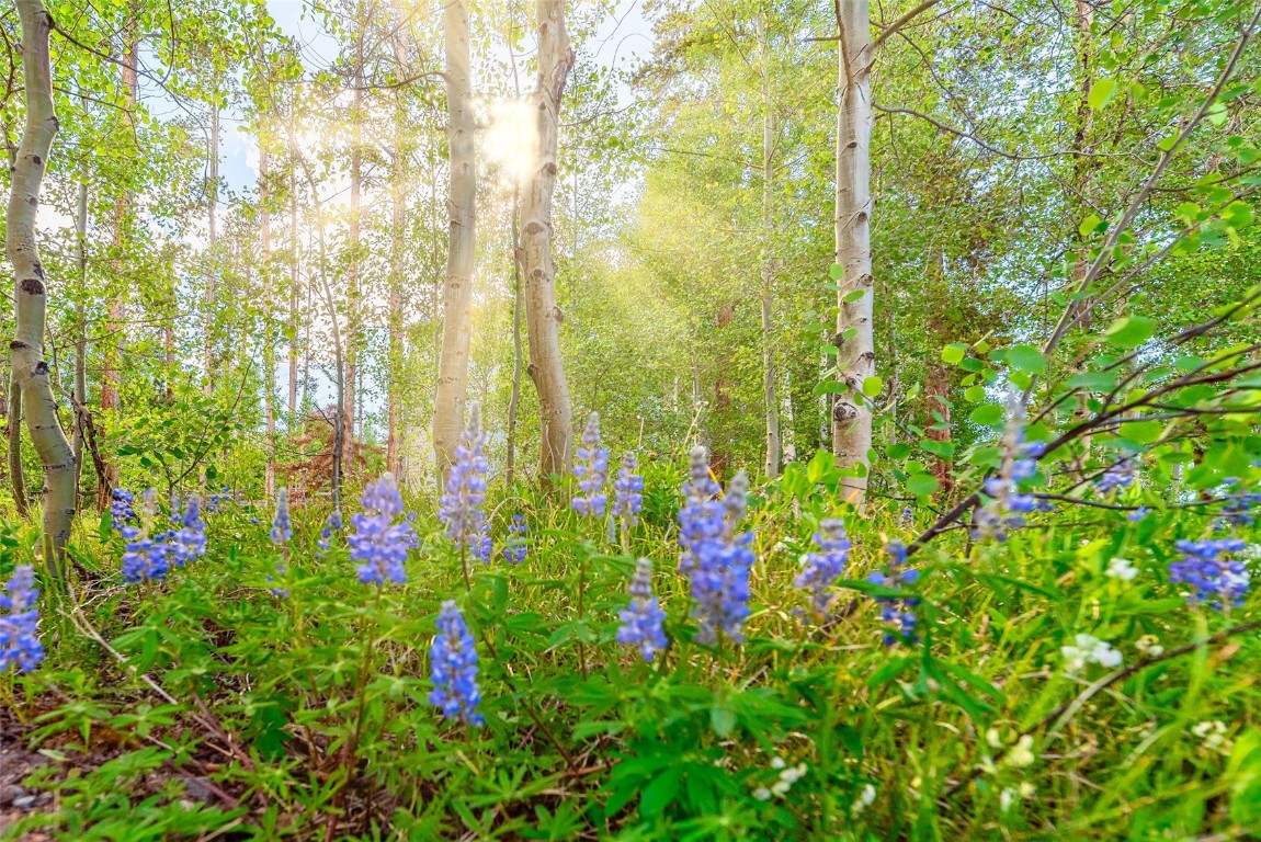 2100 Lodge Pole Circle Unit: 101