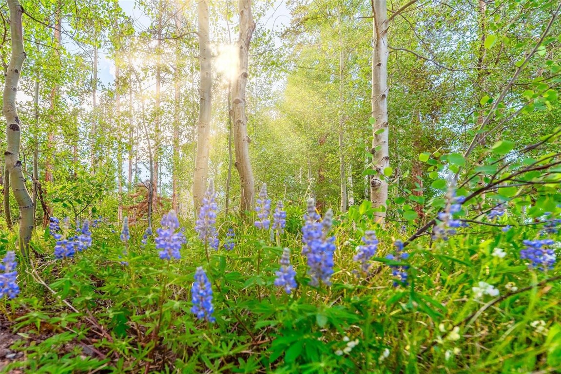 4200 Lodge Pole CIRCLE G4