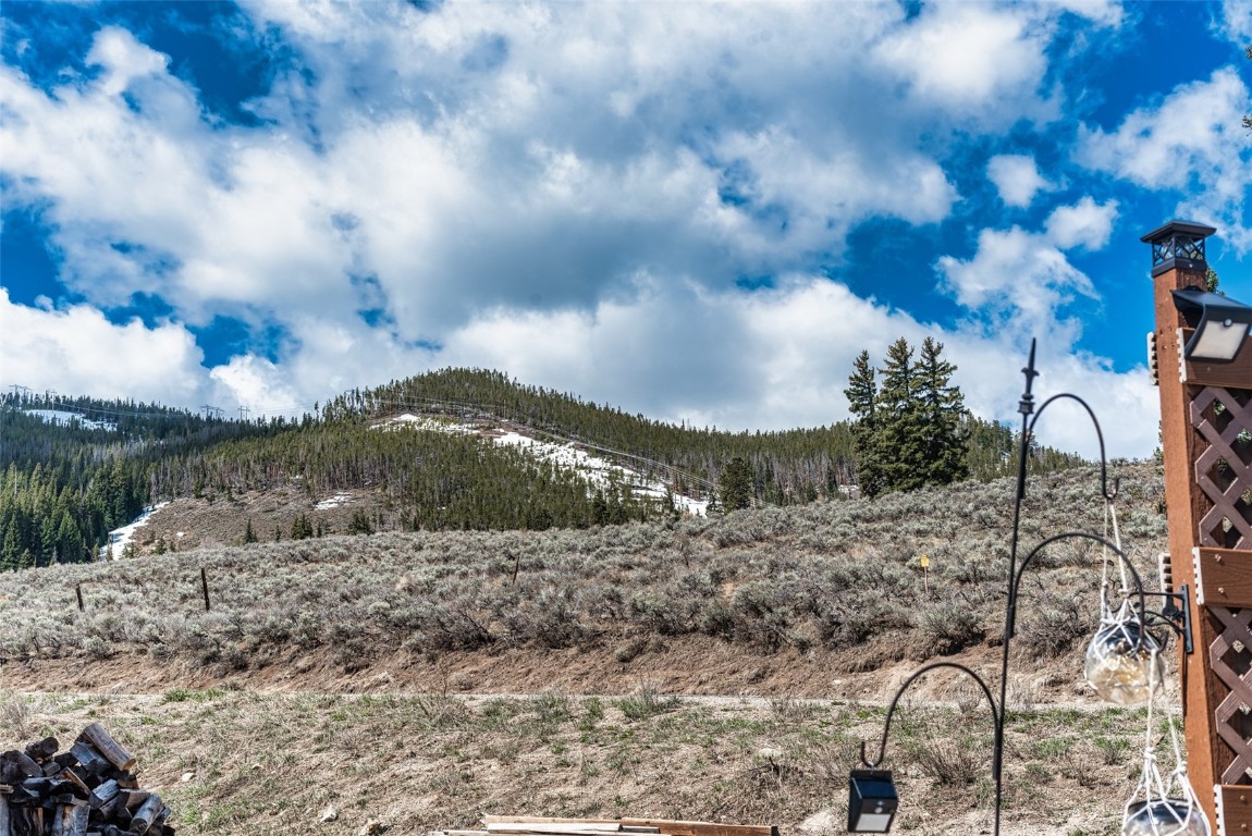 133 Pikes Peak PLACE