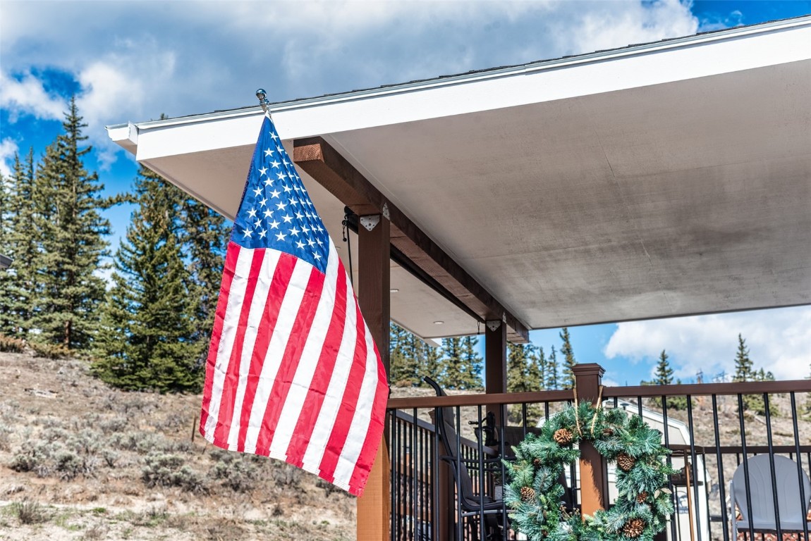 133 Pikes Peak PLACE