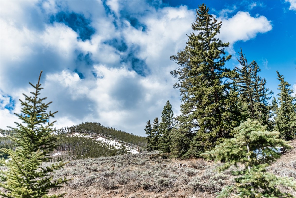 133 Pikes Peak PLACE