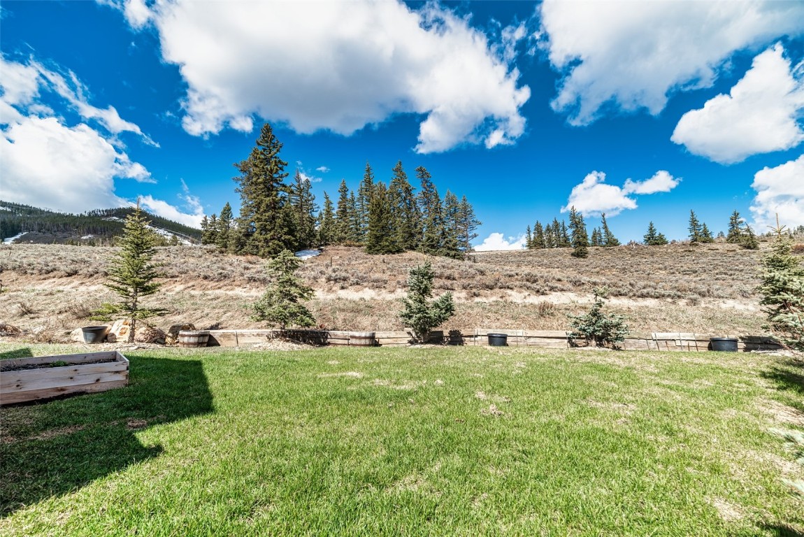 133 Pikes Peak PLACE