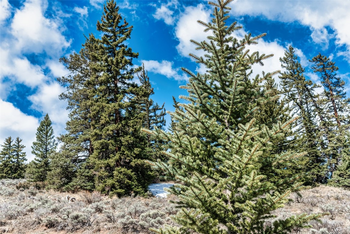 133 Pikes Peak PLACE