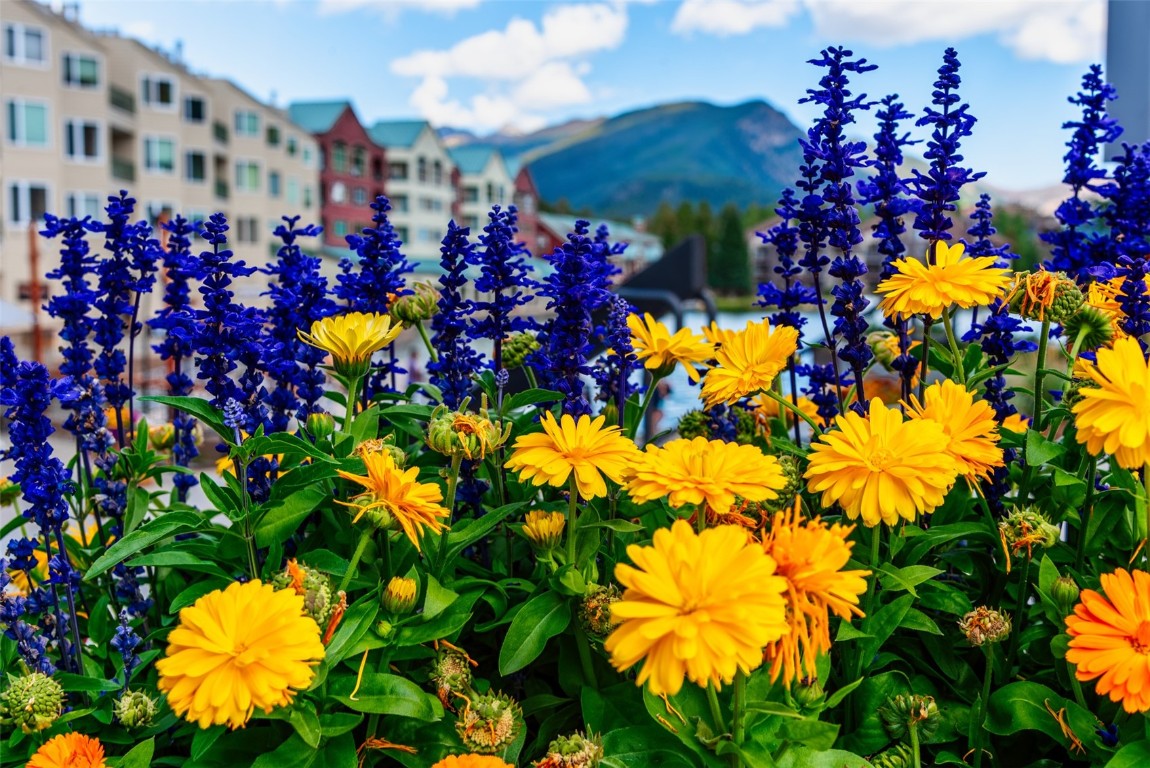 167 Argentine COURT 1447