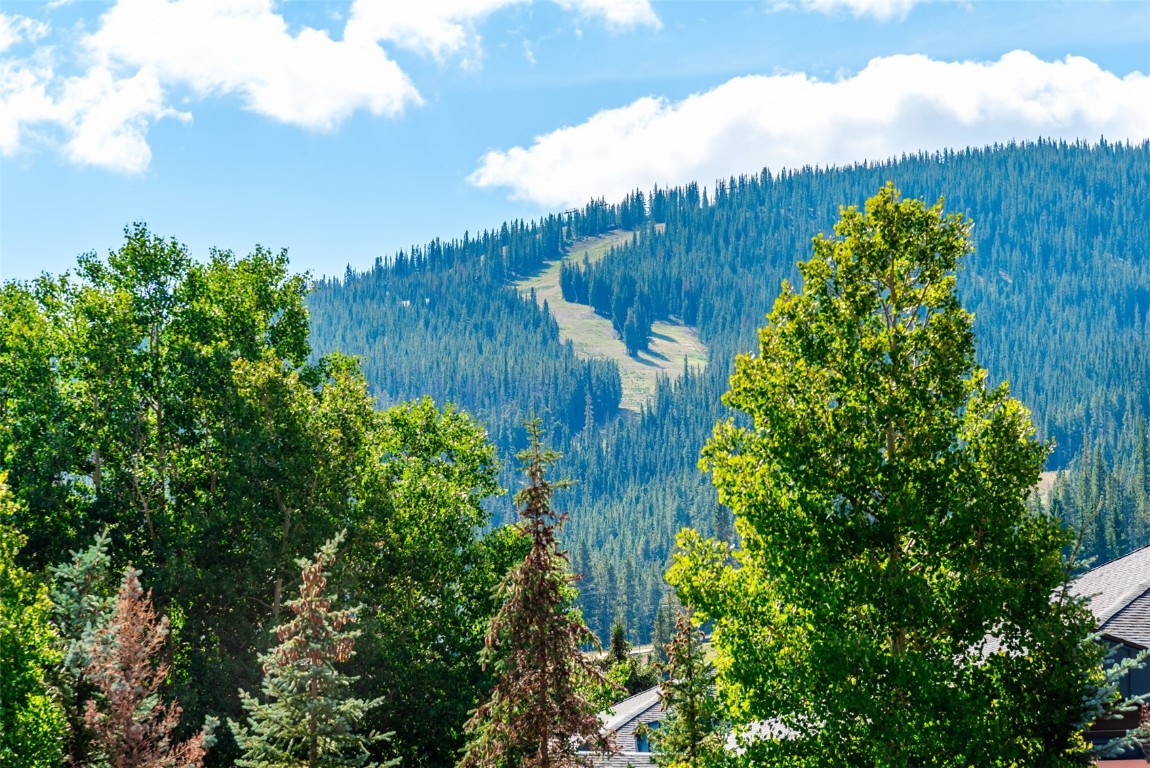 45 Beeler PLACE 2502