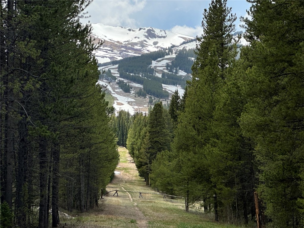 212 Cucumber Creek ROAD