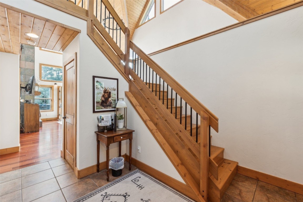 62 Lazy Rex ROAD