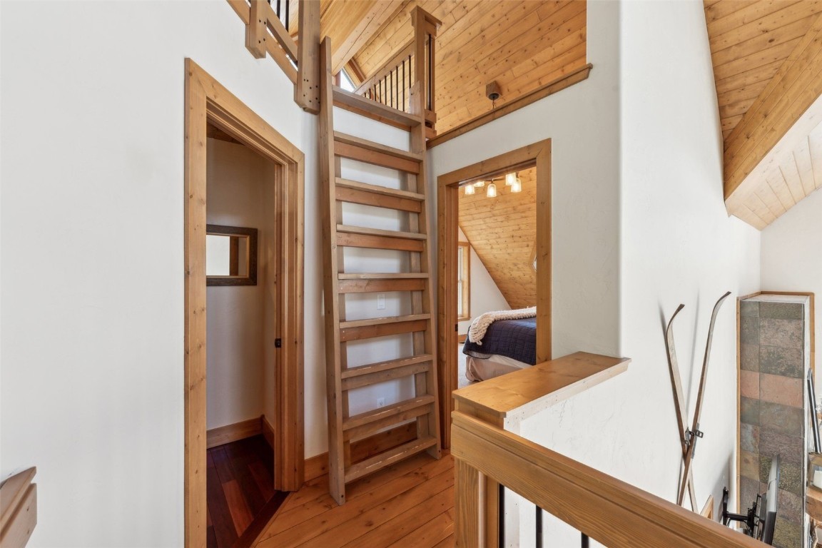 62 Lazy Rex ROAD