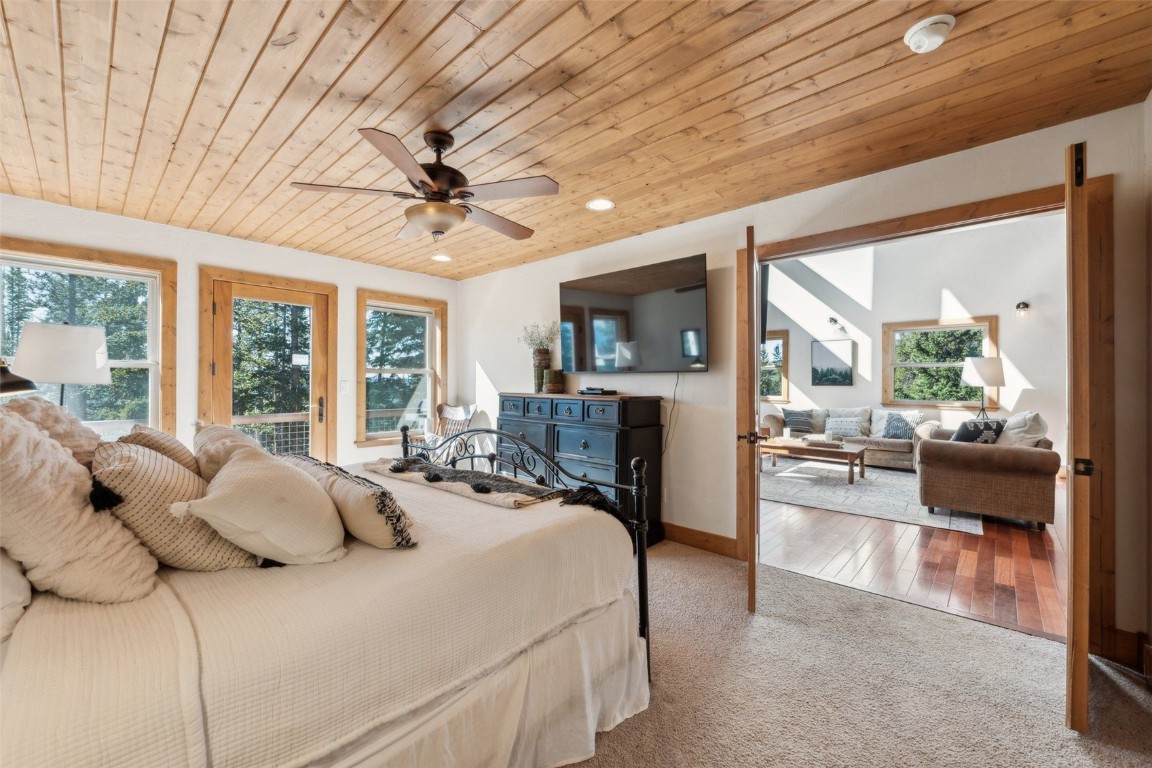 62 Lazy Rex ROAD