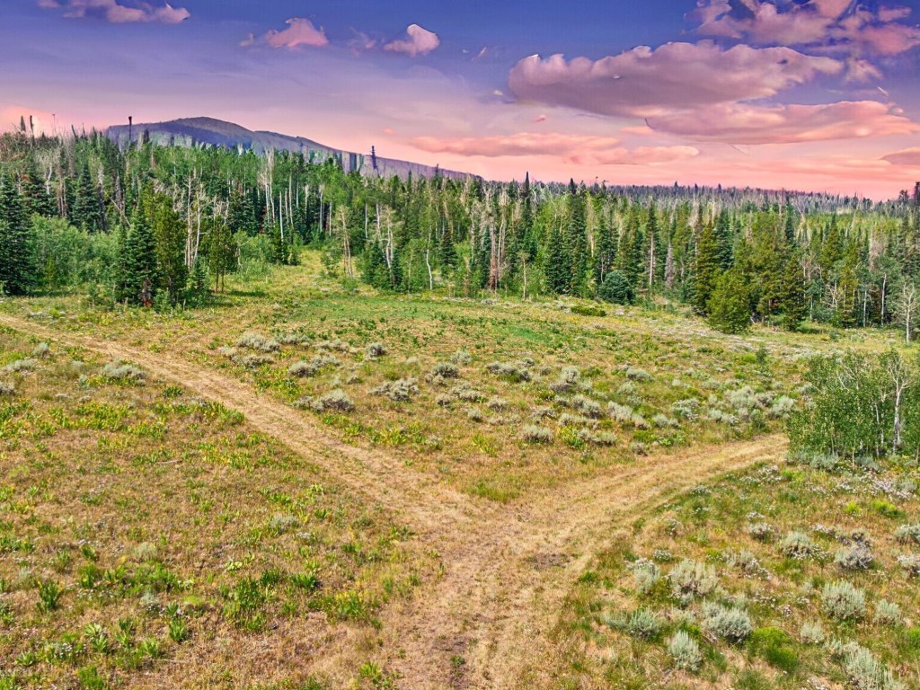 TBD Spring Creek Ranch Rd