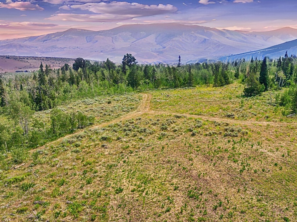 TBD Spring Creek Ranch Rd