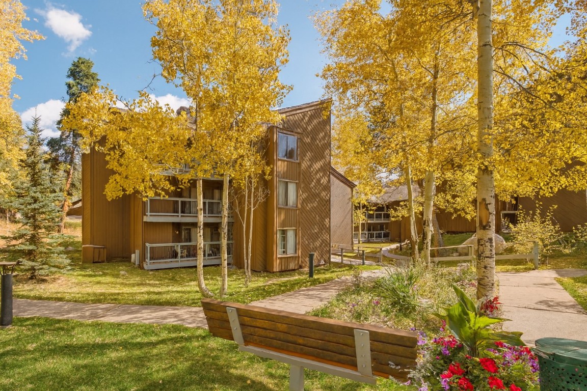 433 Wild Irishman ROAD 11304