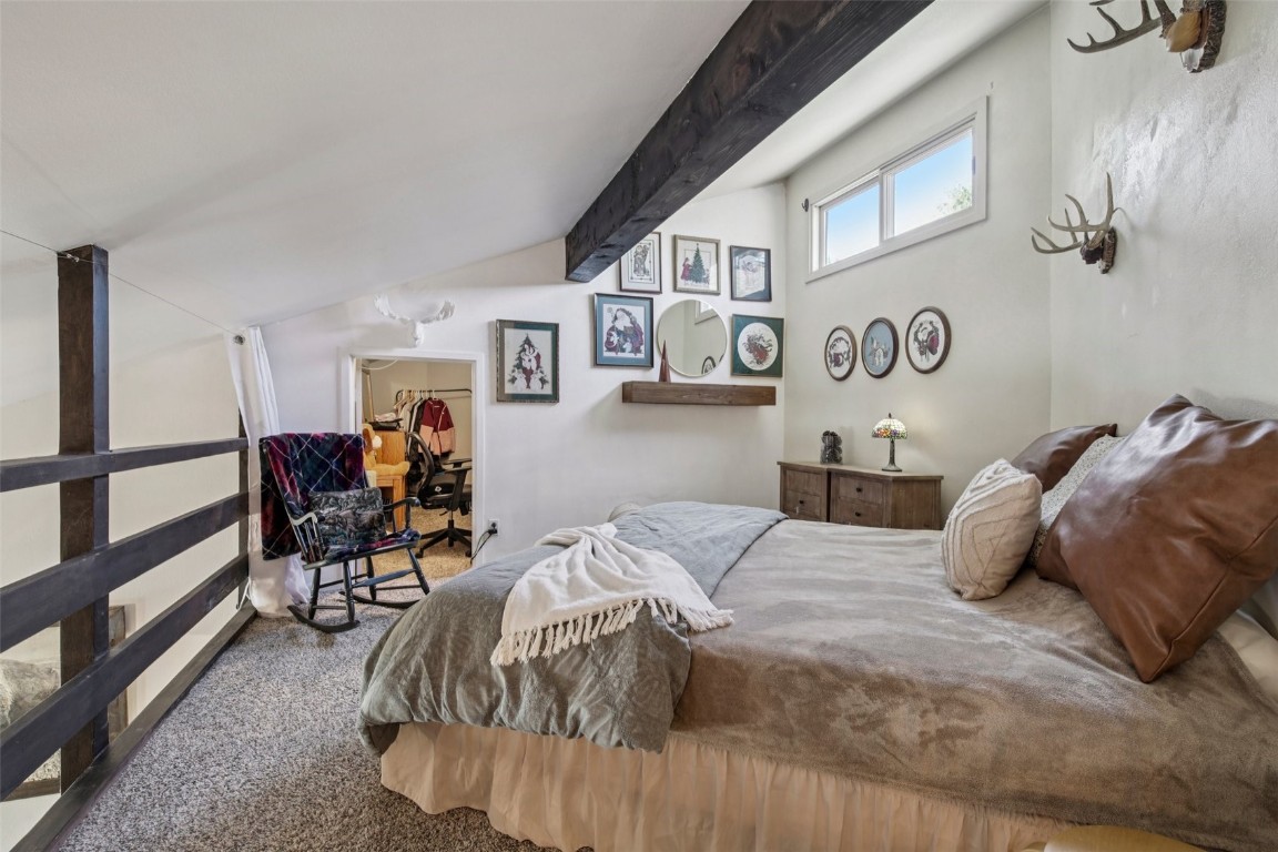 433 Wild Irishman ROAD 11304