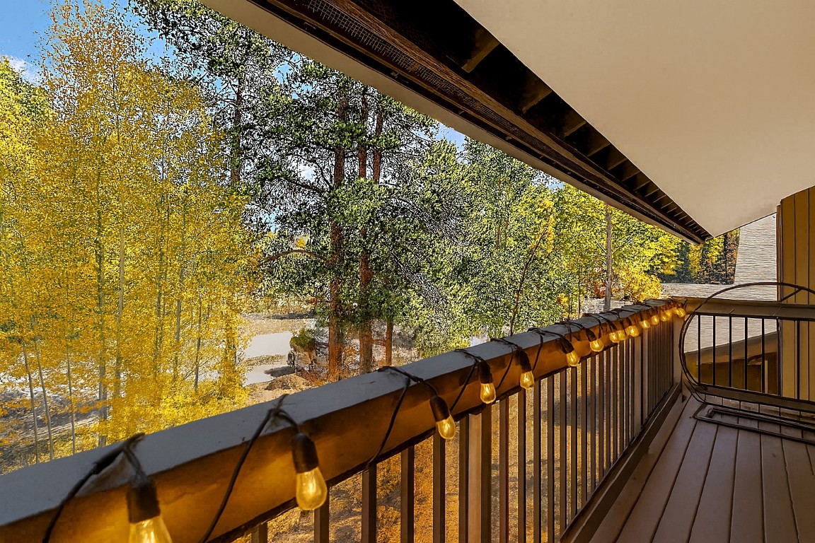 433 Wild Irishman ROAD 11304