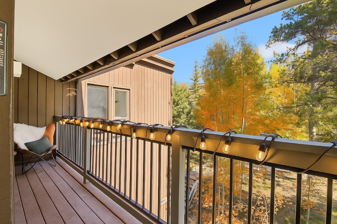 433 Wild Irishman ROAD 11304