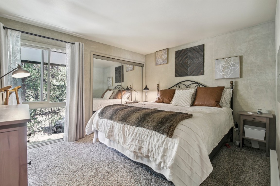 433 Wild Irishman ROAD 11304