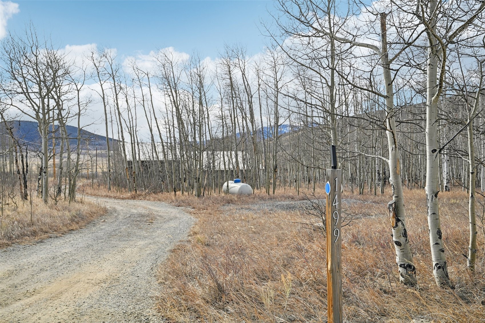 1499 Sheep Ridge ROAD