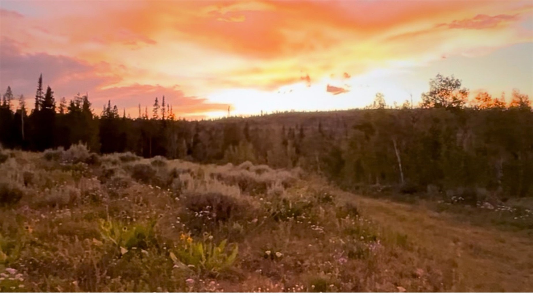 Lot AR Spring CreekRanch Rd