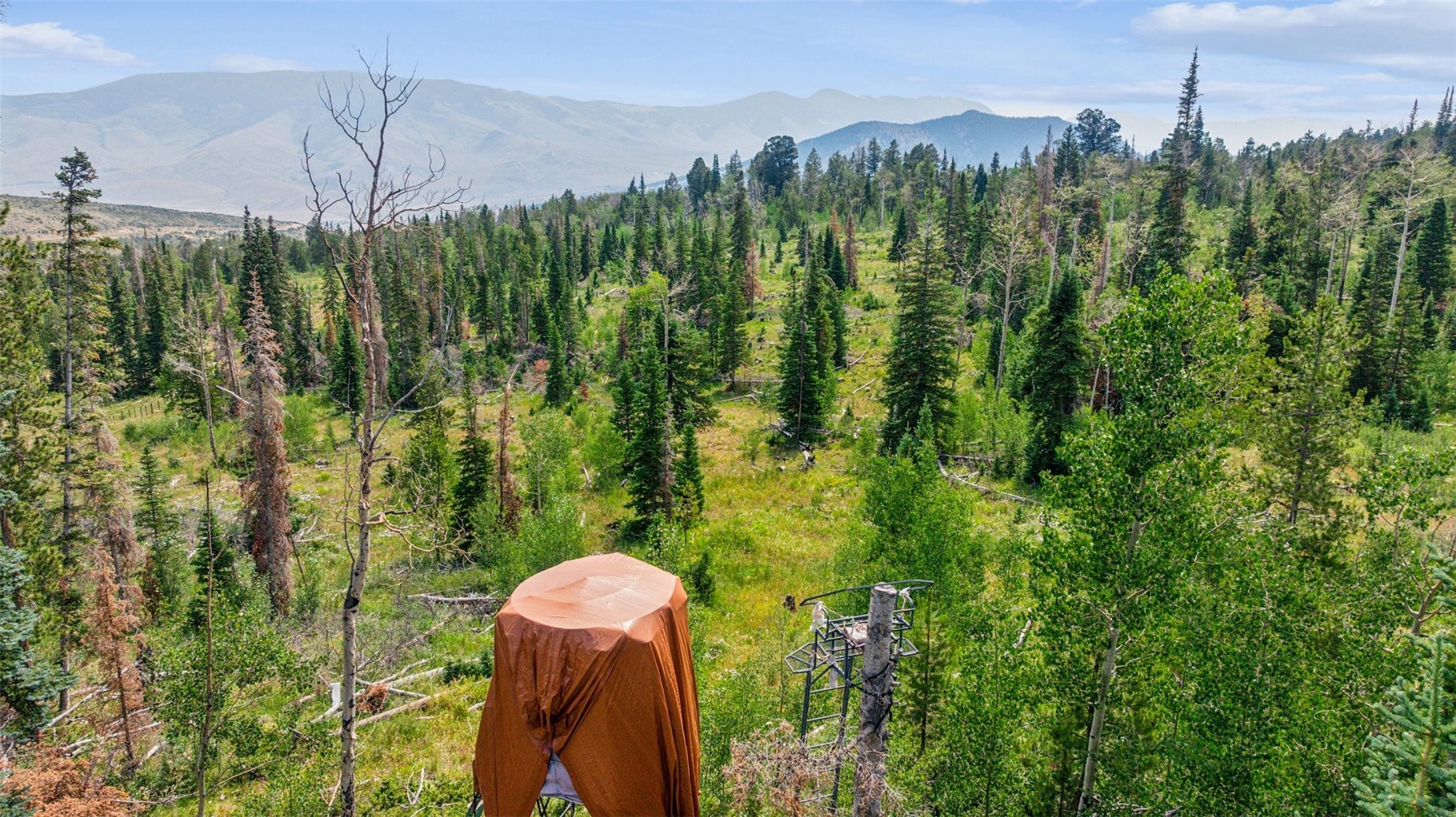 Lot AR Spring CreekRanch Rd