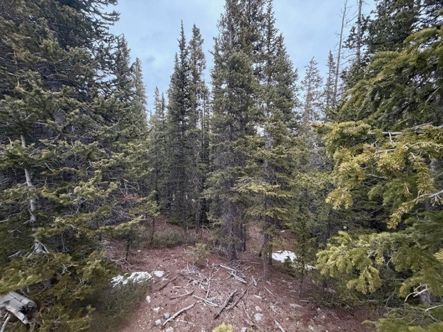 272 Grizzly DRIVE