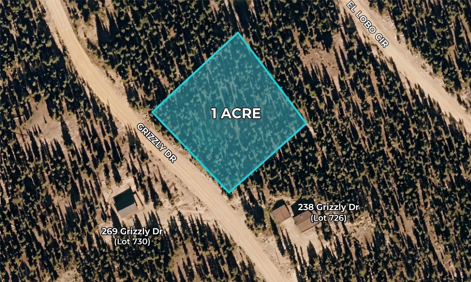 272 Grizzly DRIVE
