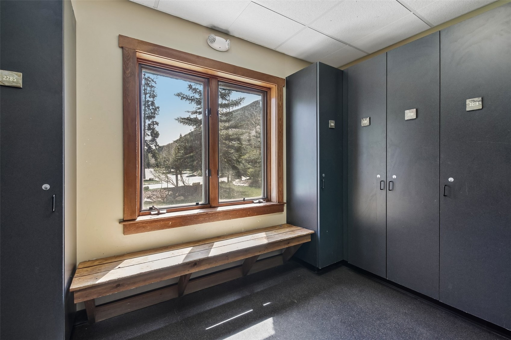 20 Hunki Dori COURT 2284