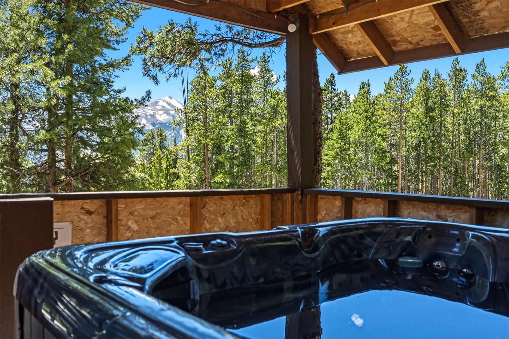 1233 Baldy ROAD