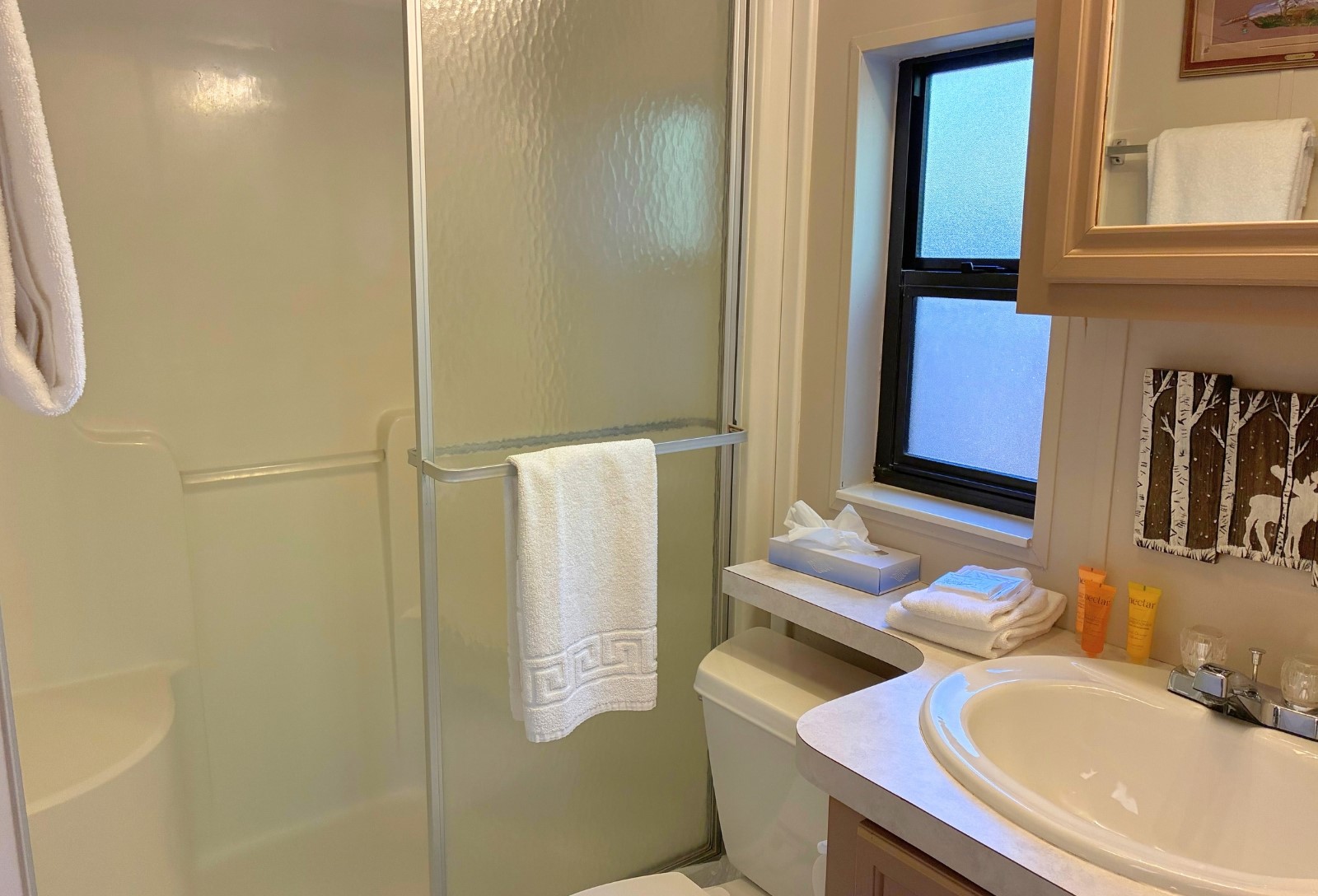 85 Revett DRIVE 51