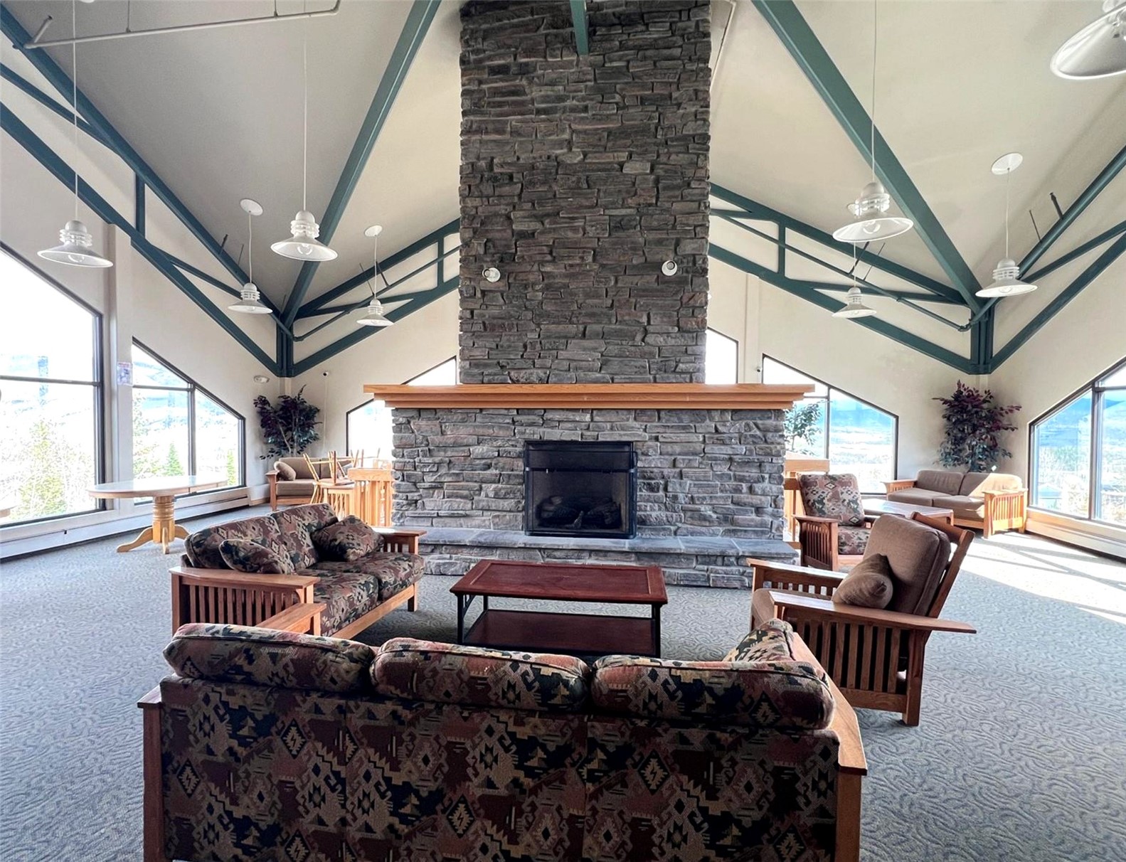8500 Ryan Gulch ROAD 205