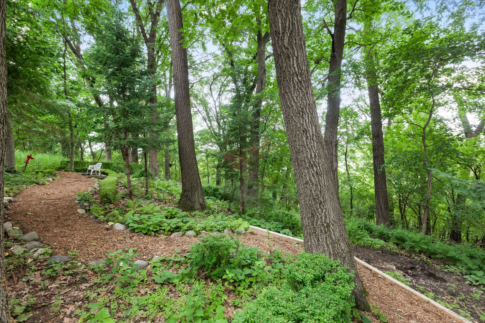 25546 Cayuga Trail