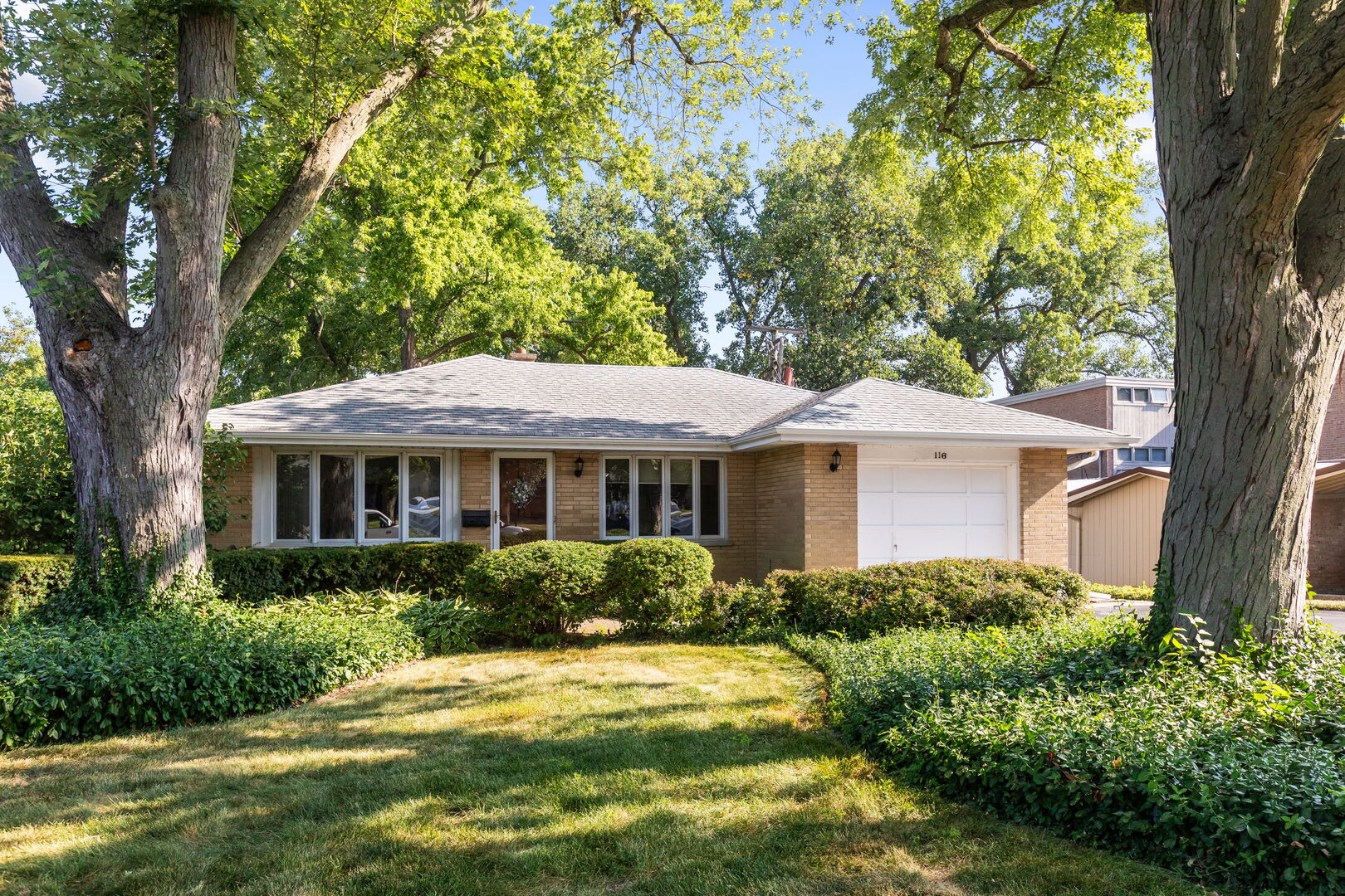 116 Sturtz Street
