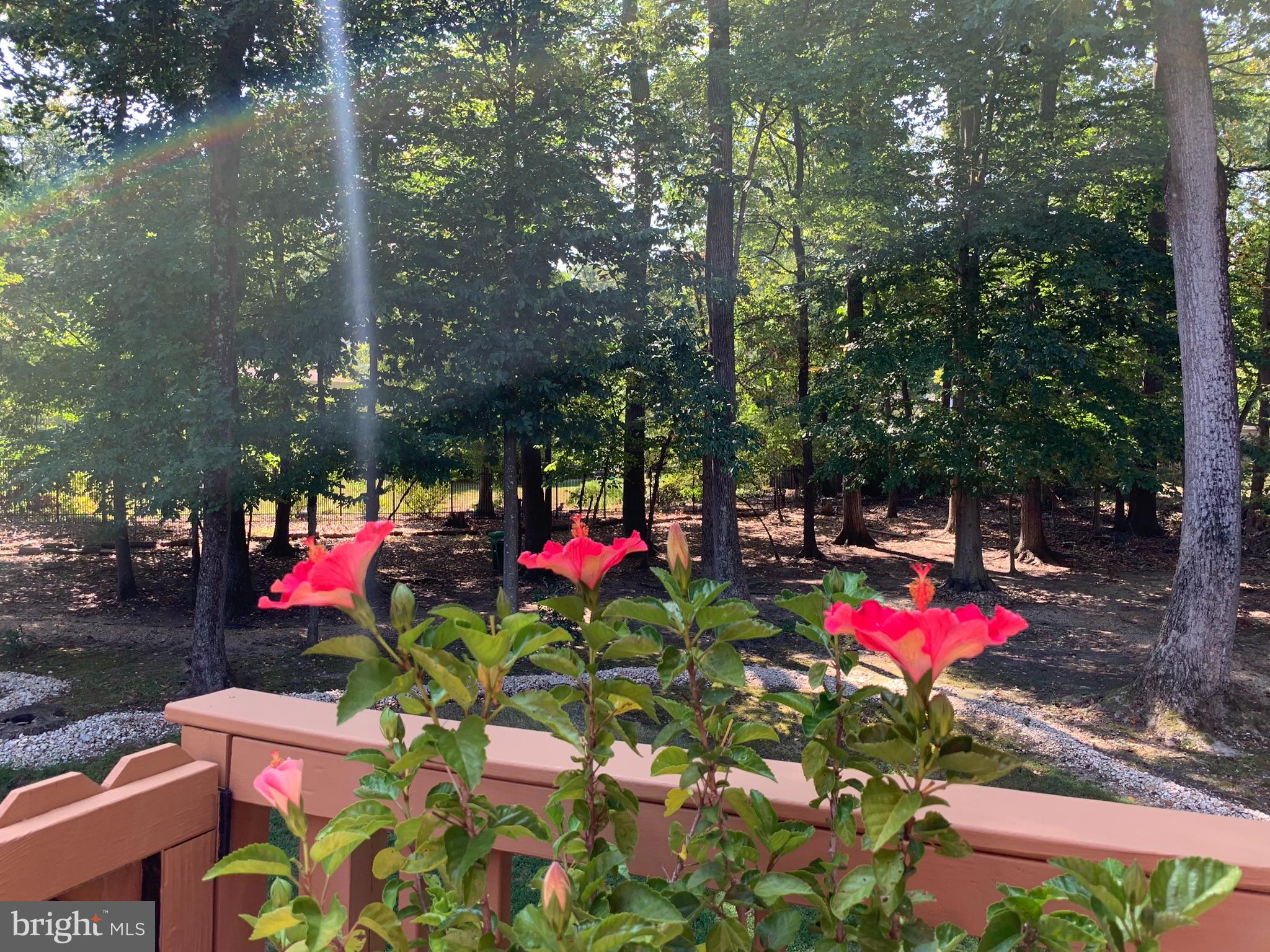 12805 DURNESS CIRCLE